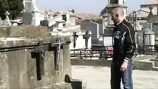 الكلبة إلتقاط صورة حديقة