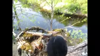 Porn Picture