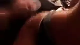 الأبنوس مثليه الهرة مشعر 10 بوصة الديك