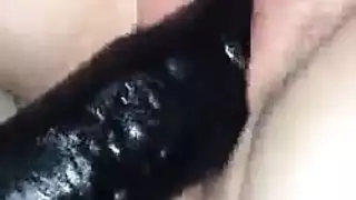 بوصة الديك شريحة أمستردام