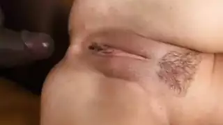 حمار دسار انثنى