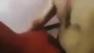 فيدوات جزائرية