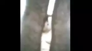 العشيق الجانبي يلعب بحلمتيها ثم ينكها مثل ممثلة إباحية